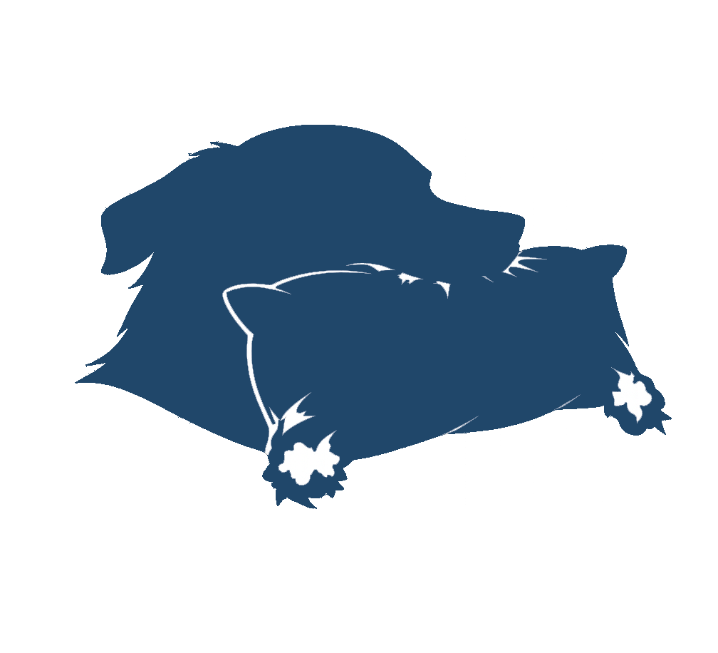 <h4><strong>Destructive Chewing</strong></h4>