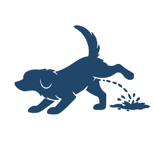 <h1><strong>Indoor Marking</strong></h1>